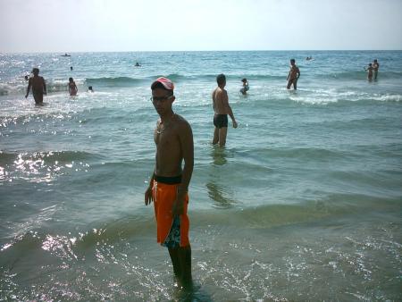 amedeo